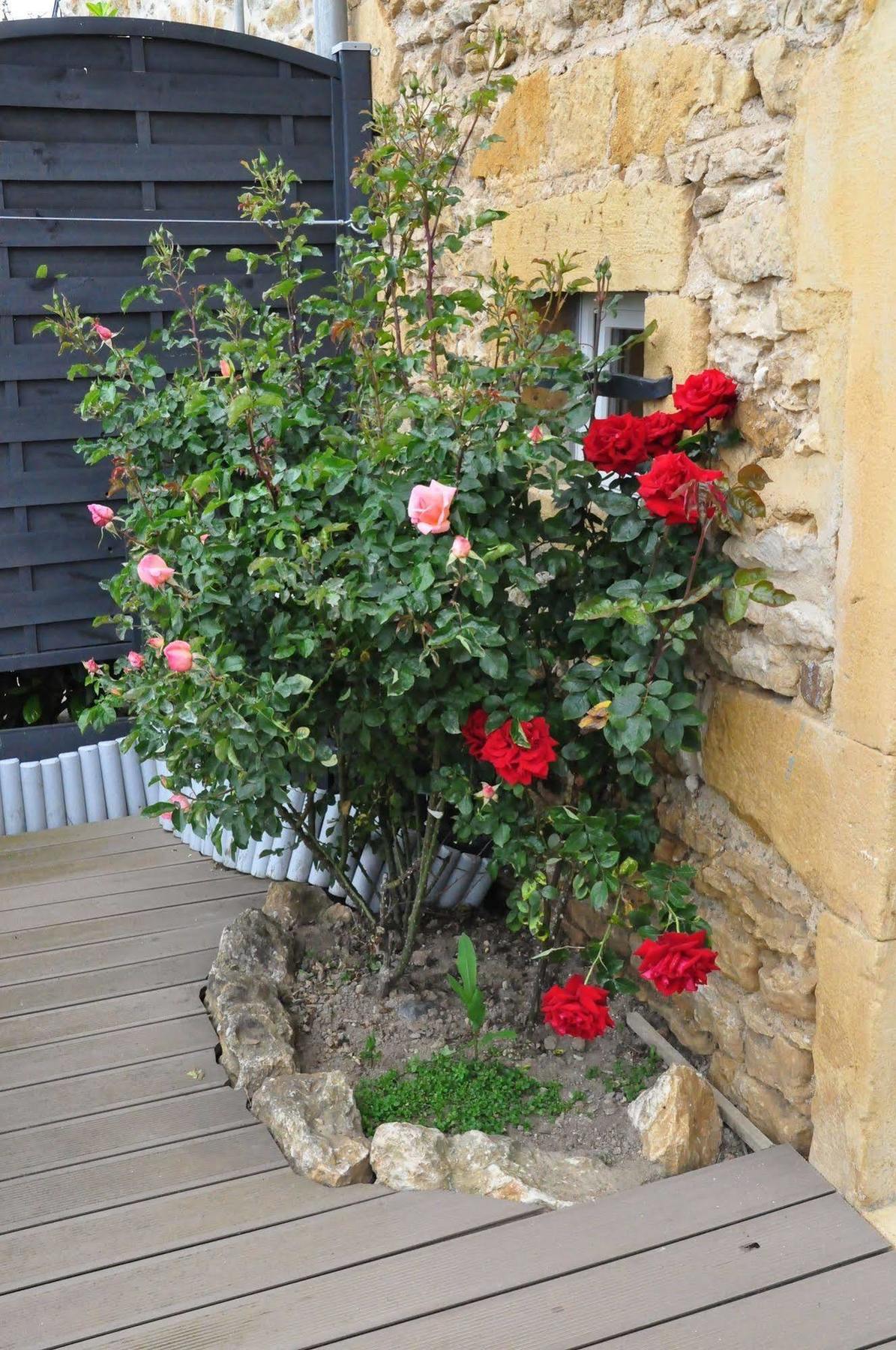Le Clos Du Cher En Beaujolais Saint-Germain-Nuelles Exterior photo